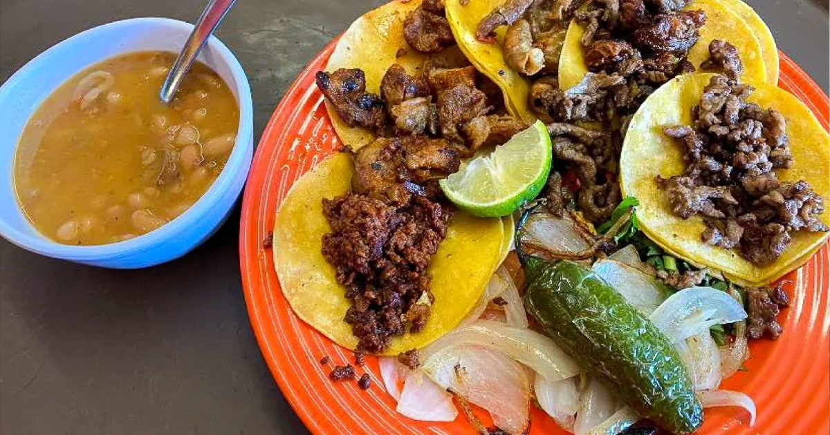 Tacos, tacos, TACOS! Visit Seguin