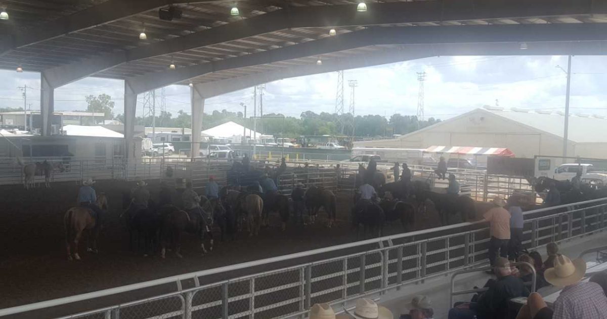 Guadalupe County Fair & Rodeo Visit Seguin